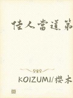 佳人当道第三部