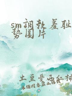 sm调教羞耻姿势图片