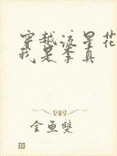 穿越流星花园之我是李真