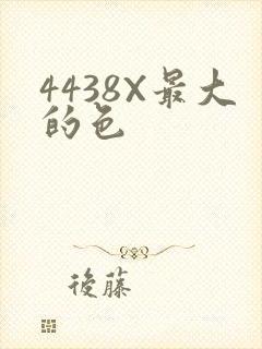 4438X最大的色