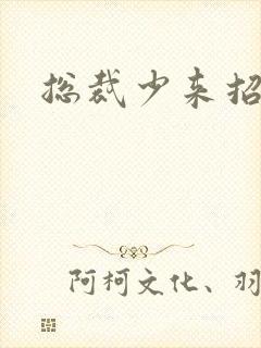 总裁少来招惹我