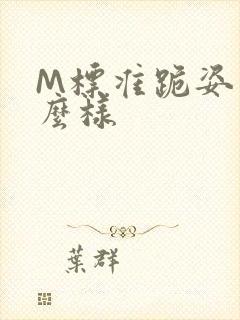 M标准跪姿是什么样