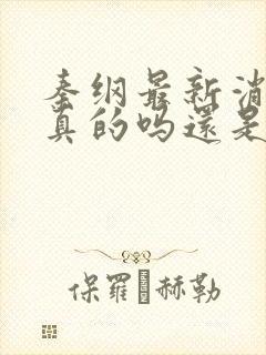 秦纲最新消息是真的吗还是假的