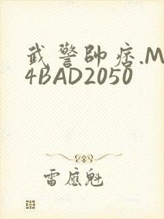 武警帅痞.MP4BAD2050