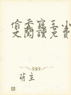 偷香窃玉小说全文阅读免费