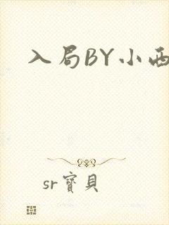 入局BY小西