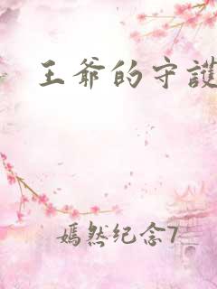 王爷的守护男妃