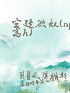 宫廷欲奴(np高h)