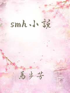 smh小说