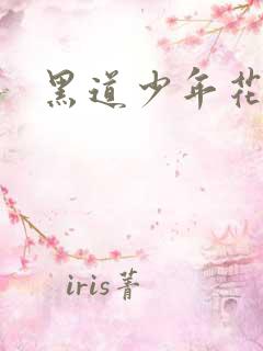 黑道少年花丛游