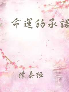 命运的承诺