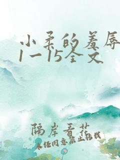 小柔的羞辱日记1一15全文