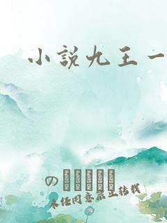 小说九王一后