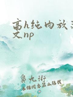 高h纯肉放荡h文np