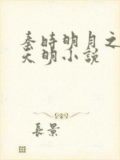 秦时明月之夜尽天明小说