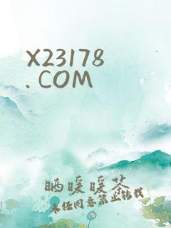 X23178 . COM