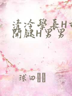 清冷学长H乖打开腿H男男