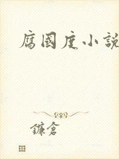 腐国度小说