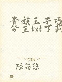 贵族王子巧遇穷公主txt下载