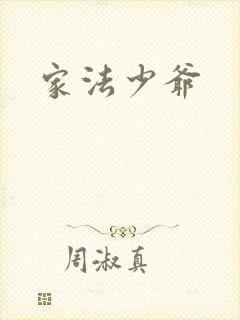 家法少爷