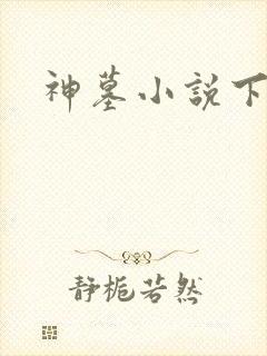 神墓小说下载