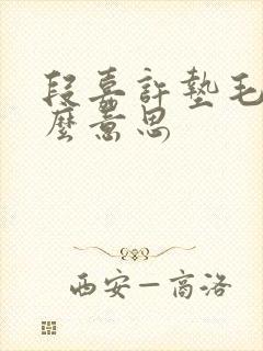 段嘉许垫毛巾什么意思