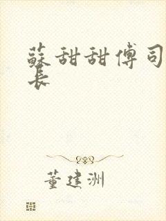 苏甜甜傅司衍机长