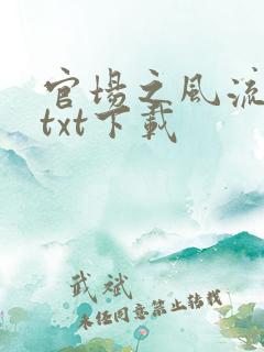 官场之风流人生txt下载