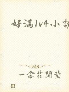 好满1v4小说