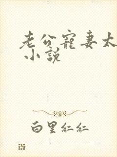 老公宠妻太甜蜜 小说