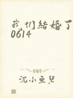 我们结婚了130614