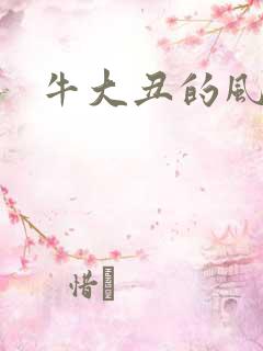 牛大丑的风流记