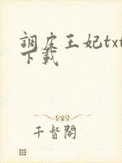 调皮王妃txt下载