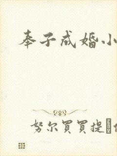 奉子成婚小说