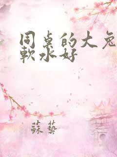 同桌的大兔子好软水好