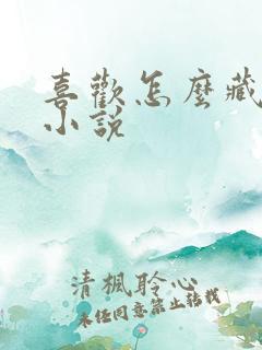 喜欢怎么藏不住小说