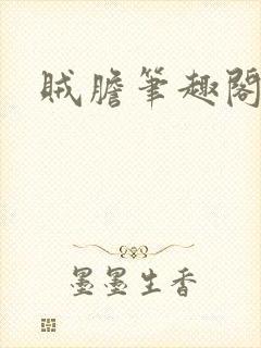 贼胆笔趣阁
