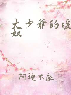 大少爷的暖床小奴