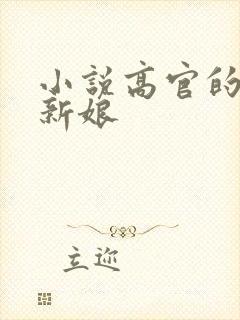 小说高官的暗夜新娘