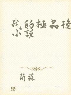 我的极品后宫 小说