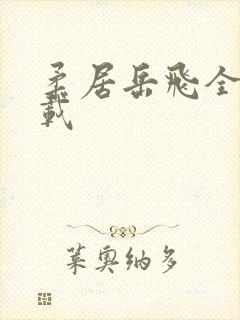 柔居岳飞全传下载