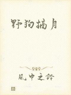 野狗摘月