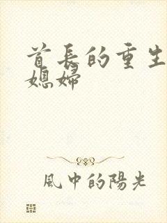 首长的重生宝贝媳妇