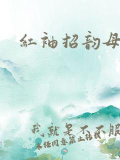 红袖招韵母攻略