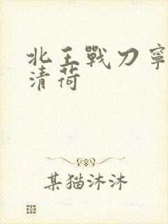 北王战刀宁北苏清荷