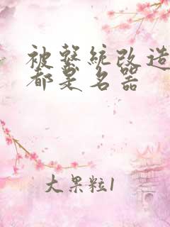 被系统改造全身都是名器