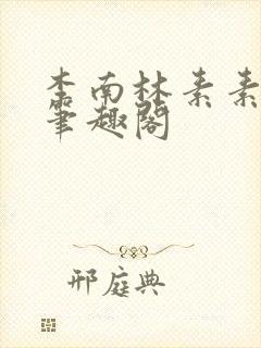 李南林素素小说笔趣阁