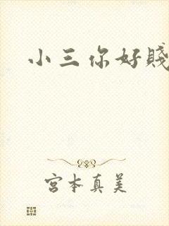 小三你好贱下载