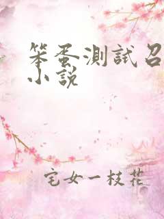笨蛋测试召唤兽小说
