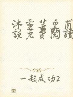 沐灵芸皇甫霆小说免费阅读